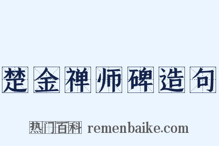 楚金禅师碑造句是什么意思的图片
